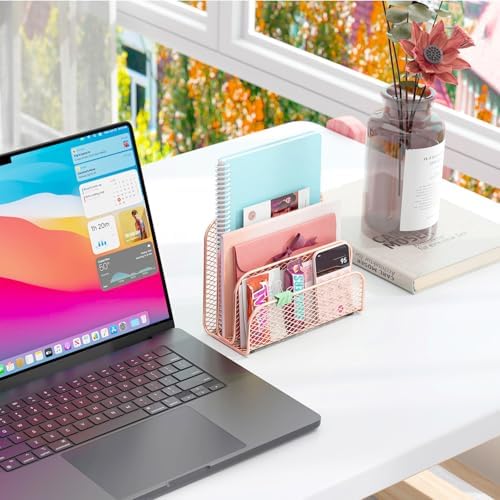 gianotter Mail Organizer Countertop