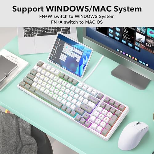 HUO JI Z-99 Wired Mechanical Keyboard, Creamy Sound, RGB Backlit,White Gray