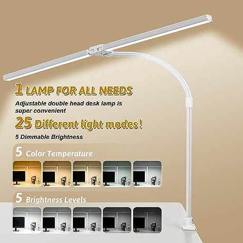 LED Desk Lamp with Clamp and Base, Dual Head Monitor Light