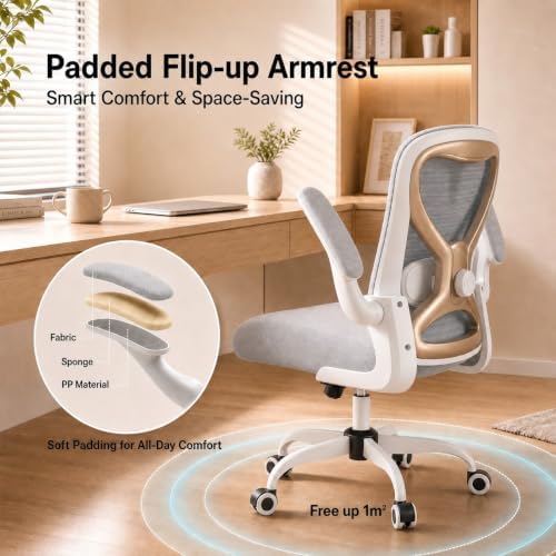 Ergonomic Home Office Chair, 4-Way Lumbar, Thick Cushion, 330LBS (Gray/Champagne)