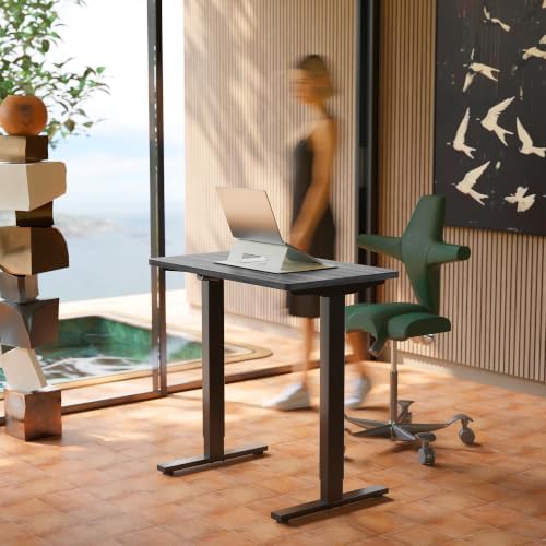 HUANUO 32x19 Inch Small Electric Standing Desk, Adjustable, Grey