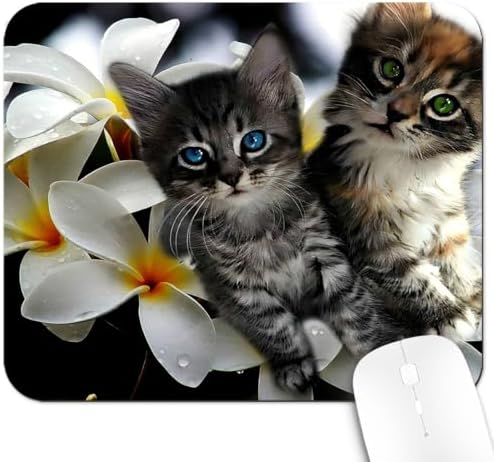 9.5x7.9 Inch Office/Gaming Mouse Pad, Lovely Kittens on Tropical Plumeria Flowers Adorable Blue Green Eyed Cats Pets, Cute Anti-Slip Mat for Desk Decor