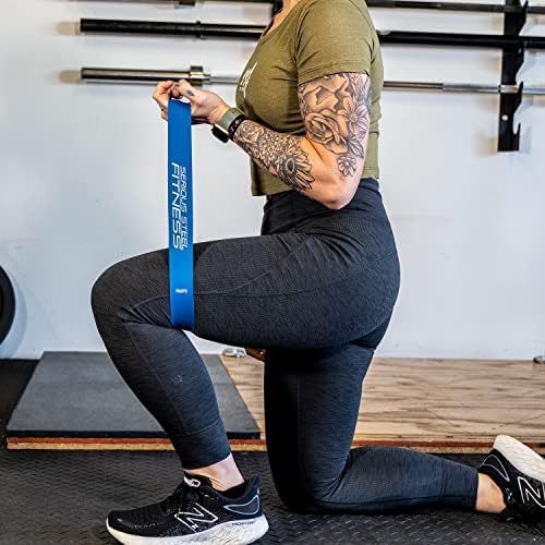 Serious Steel Fitness Mini Resistance Loop Bands | Rehab and Prehab Stretch Bands | 12" Exercise Workout Bands (Sets of 5 Pack and Sets of 10 Pack Trainer Options Available!)