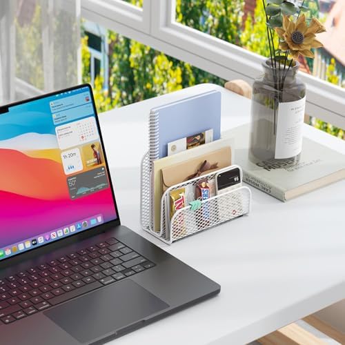gianotter Mail Organizer Countertop