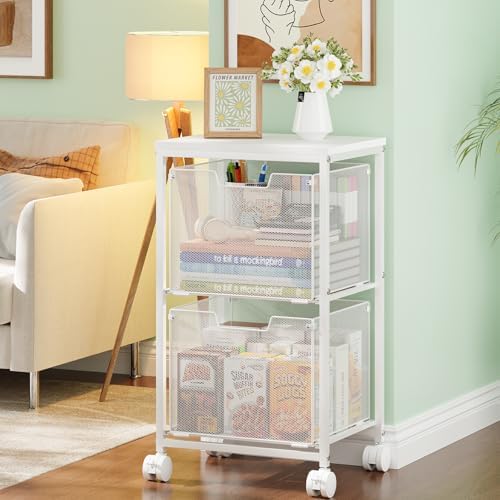 Rolling File Cart with 2 Storage Drawers,Under Desk Storage Cart
