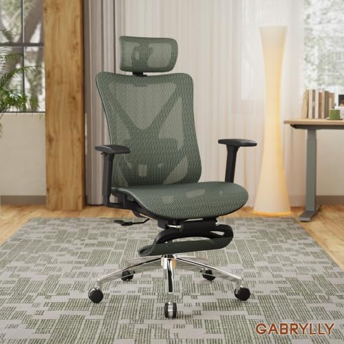 GABRYLLY Ergonomic Office Chair with Adjustable Lumbar Support, 3D Armrests & Headrest, 135° Reclining Chair with Footrest & Large Steel Base,300LBS Swivel Desk Chair(GYMN01-JG)