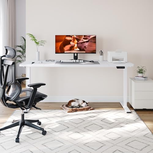 79''x31''Dual Motor Adjustable Large Standing Desk for Home Office