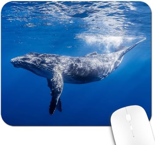 9.5x7.9 Inch Office/Gaming Mouse Pad, Deep Blue Sea Whale Majestic Underwater Marine Organism, Cute Anti-Slip Mat for Desk Decor
