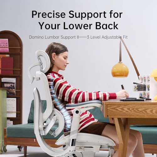 SIHOO Doro C300 Pro V2 Ergonomic Office Chair with Footrest, 2 Packs, Grey