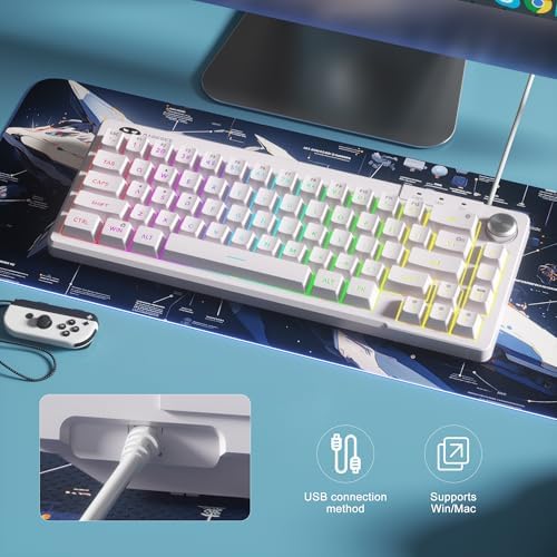 MageGee Mini 60% Gaming Keyboard, RGB Backlit Ultra-Compact Keyboard, TS68 Ergonomic Waterproof Mechanical Feeling Office Computer Keyboards for PC, MAC, PS4, Xbox ONE Gamer