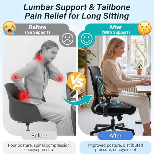 Ergonomic Seat Cushion with Lumbar Support (Grey)