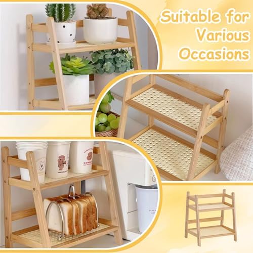 Desktop Organizer, Desk Organizer Shelf, 10.6x7.1x11.2 Inch 2 Tier Rattan Wood Desktop, Flower Pot Stand for Office, Home