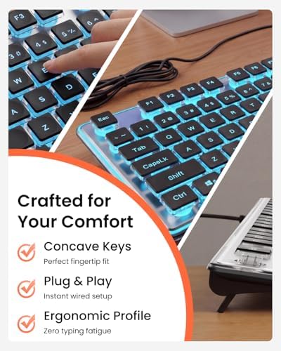 Wired Keyboard with Blue Backlight Pudding Keycaps, Full Size, Black