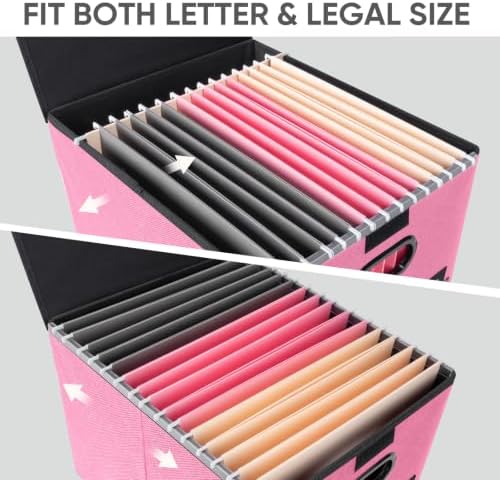 BALEINE File Organizer Box with Lid, Collapsible Hanging File Storage Box