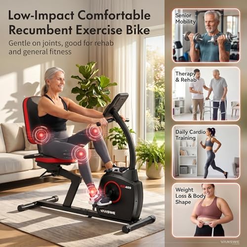 VANSWE Recumbent Exercise Bike for Home Seniors with 380 LB Weight Capacity