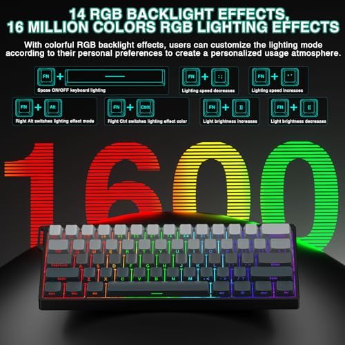 Aula WIN60 HE - 60% Mechanical Gaming Keyboard Wired, Hall Effect Magnetic Switch Hot Swappable,8000 Hz Polling Rate, RGB Keyboard 60 Percent Compact Design for PC (Gradient Gray)
