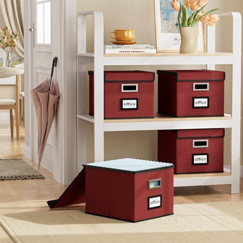 File Organizer Box with Lids, Collapsible File Folder Organizer