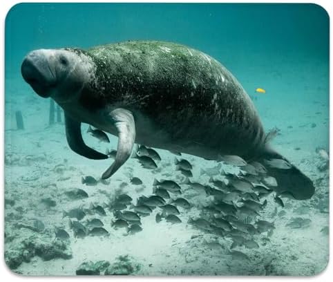 Underwater Florida Manatee with Fish Ocean Mouse Pad, Cute Durable Desk Mat
