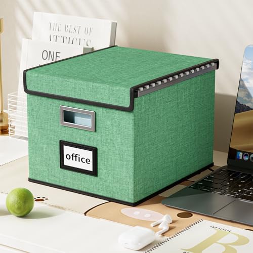 File Organizer Box with Lids, Collapsible File Folder Organizer