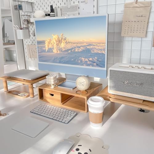 Dual Monitor Stand Riser with Drawer for Desk Laptop