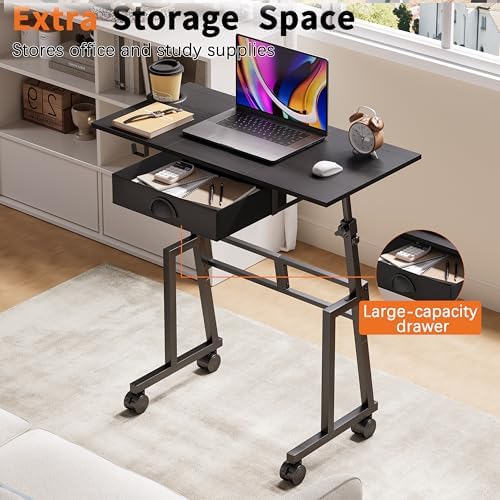 Adjustable Height Standing Desk with Drawer, Rolling Sit to Stand Up Desk