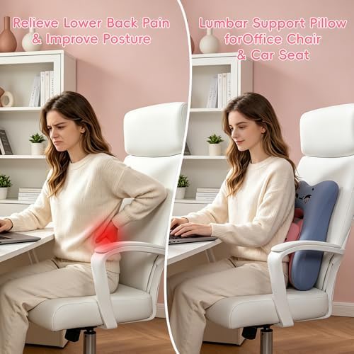 BEBAS Ergonomic Memoery Foam Lumbar Support Pillow for Car & Office, Blue