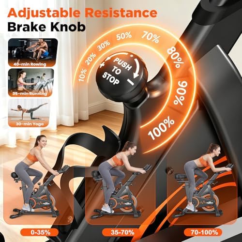 RELIFE REBUILD YOUR LIFE Exercise Bike, Friction Stationary Bike for Home