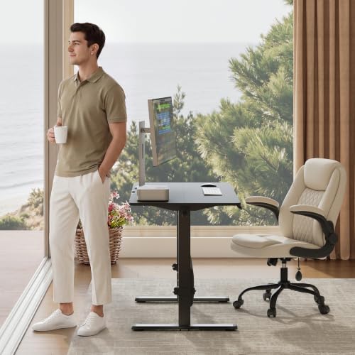 MALOL 47" x 24" Electric Standing Desk with Adjustable Footrest, Black