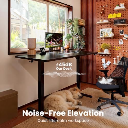 ErGear Electric Standing Desk, 48" x 30" Whole Piece Desktop, Adjustable Height Computer Desk, 4 Height Memory Settings, Sit Stand Up Desk for Home Office, Black