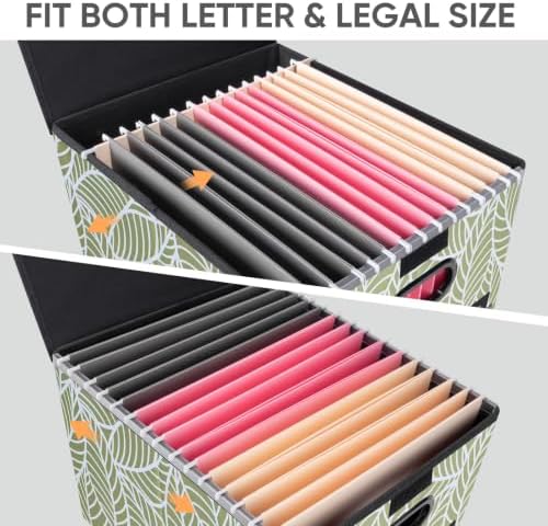 BALEINE File Organizer Box with Lid, Collapsible Hanging File Storage Box