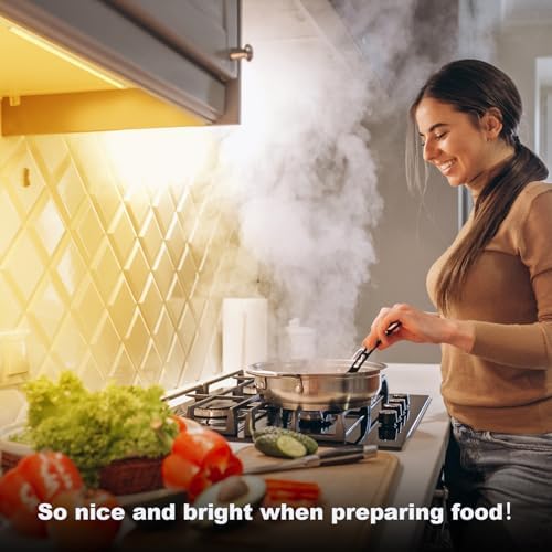 JUSJUBR Under Cabinet Lights Plug-in, 4 Pack x 12inch Warm White 3000K LED Under Cabinet Lighting, Dimmable Under Counter Lights with Memory Function, LED Light Bars for Kitchen Pantry Desk