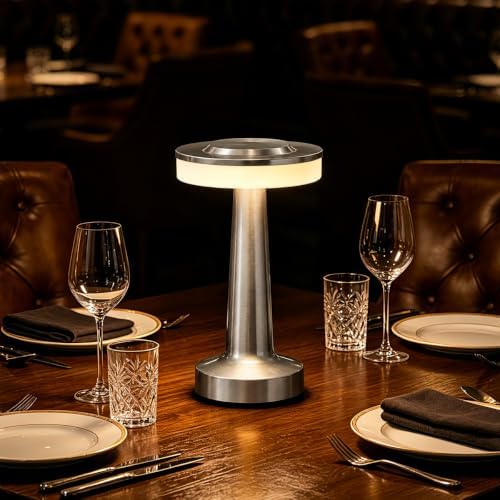 LED Portable Cordless Rechargeable Table Lamp,Silver