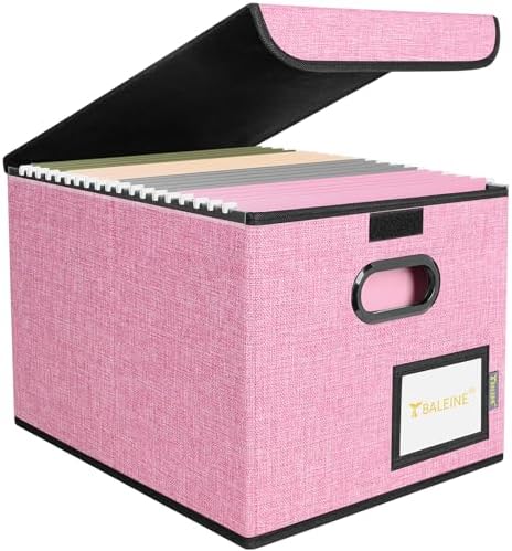 BALEINE File Organizer Box with Lid, Collapsible Hanging File Storage Box