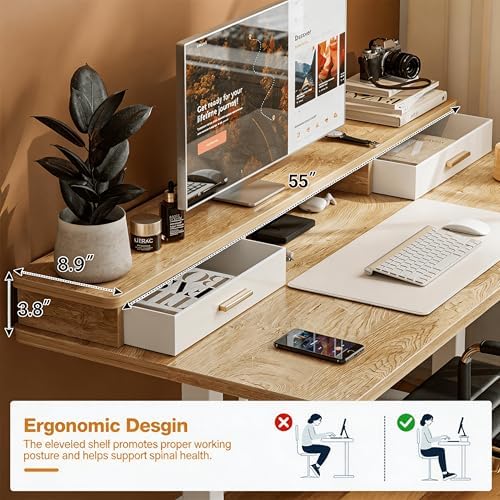 Grandder Electric Standing Desk with Two Drawers, Sit to Stand Up Height Adjustable Desk with Storage Shelf for Home Office, 55 * 24 Inch, Study, Ergonomic Adjustable Computer Desk, Oak