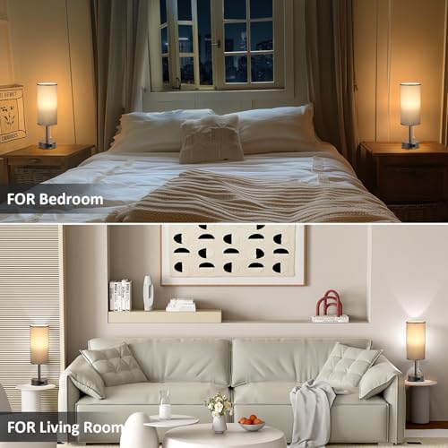 Dark Grey Bedside Table Lamps Set of 2 - Bedroom Lamp for Desk, AC Outlet