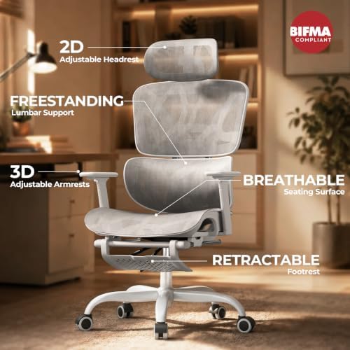 HLDIRECT Ergonomic Mesh Office Chair with Footrest, Lumbar Support(Grey)