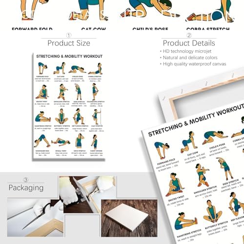 Stretching & Mobility Workout Poster, 16 Illustrated Full-Body Flexibility Chart with Hold Timing Guides, Bodyweight Daily Stretch Reference for Post-Workout Recovery & Joint Mobility Improvement(24x36inchs，Wrapped Framed)