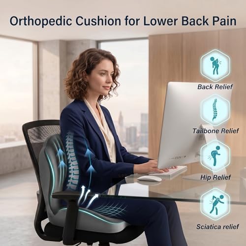 Ergonomic Seat Cushion with Lumbar Support (Grey)