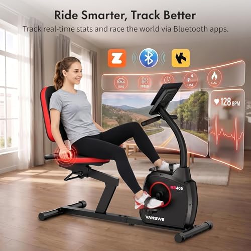 VANSWE Recumbent Exercise Bike for Home Seniors with 380 LB Weight Capacity