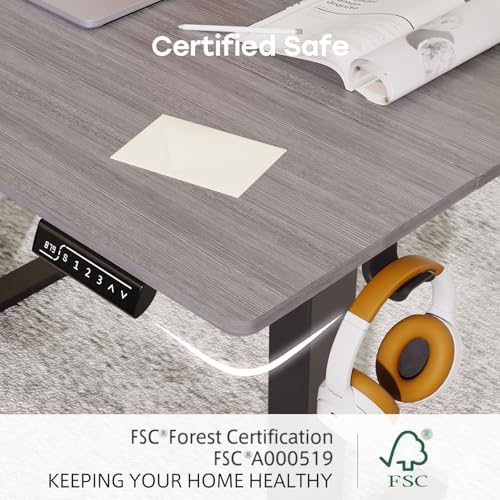 Electric Standing Desk, 48×24 Inch Home Office Desk, Grey