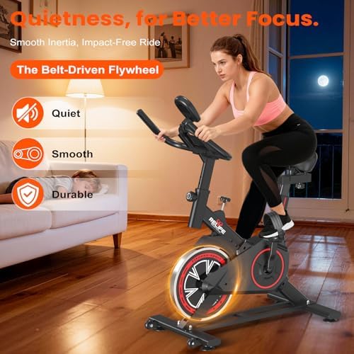 RELIFE REBUILD YOUR LIFE Exercise Bike, Friction Stationary Bike for Home