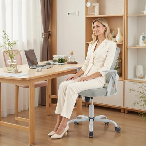 DUMOS Ergonomic Home Office Chair, Lumbar Support Desk Chair
