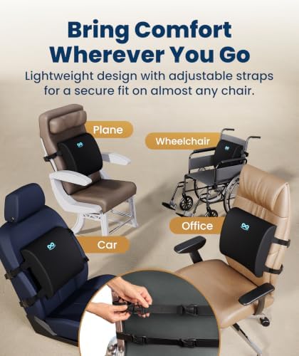 Everlasting Comfort Lumbar Support Pillow for Office Chair - Improves Posture, Promotes Back Pain Relief - Superior Back Support for Gaming and Desk Chairs - Lumbar Pillow for Car, Couch