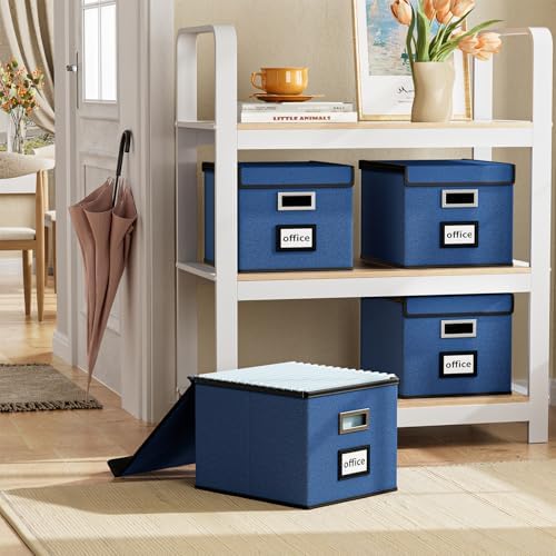 File Organizer Box with Lids, Collapsible File Folder Organizer