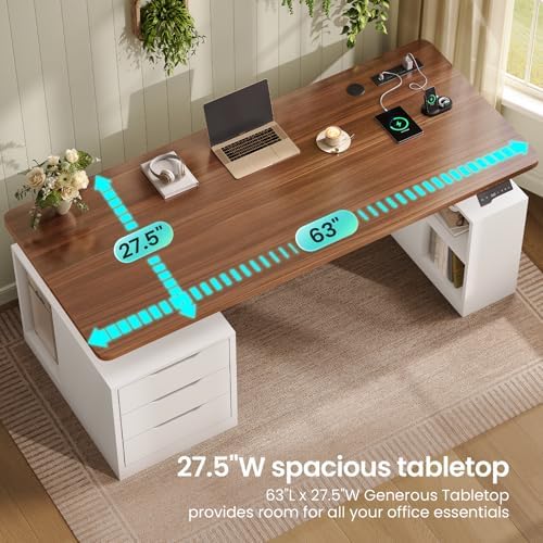 SEDETA 63" Modern Electric Standing Desk with 3 Drawers, Storage Shelves