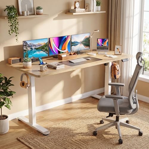 71'' × 28'' Height Adjustable Electric Standing Desk with Wheels