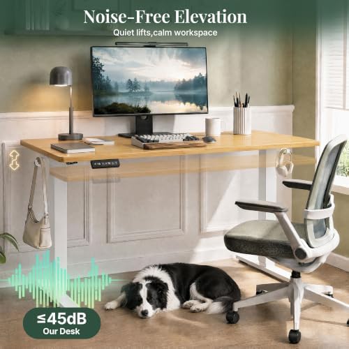Electric Standing Desk,63in for Home,Office,Gaming,Oak