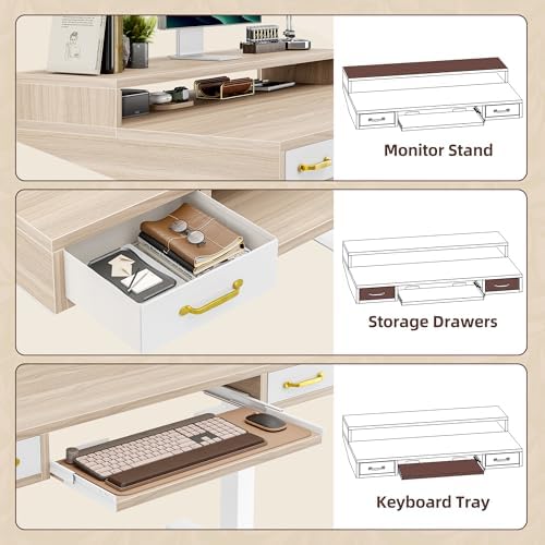 TIQLAB Standing Desk with Two Drawers, Stand Up Standing Desk Adjustable Height, Electric Sit Stand Table with Storage Shelf and Splice Board, with LED Light, 47 * 28 inch, Light Walnut
