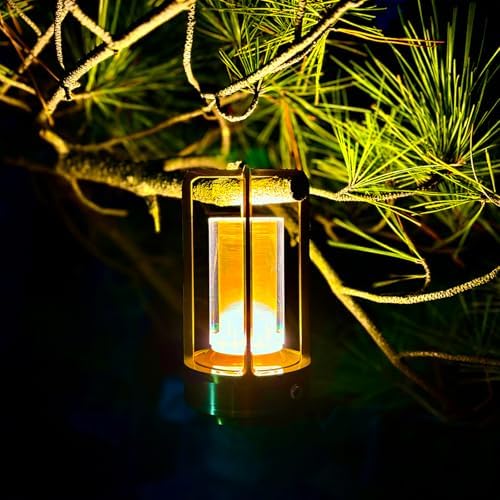 Set of 2 Cordless Table Lamps, LED Rechargeable Table Lamp with 3 Color Stepless Dimmable, Indoor/ Outdoor Table lamp for Patio/ Camping/ Bar/ Coffee/ Restaurant/ Home(Silver 2 Pcs)