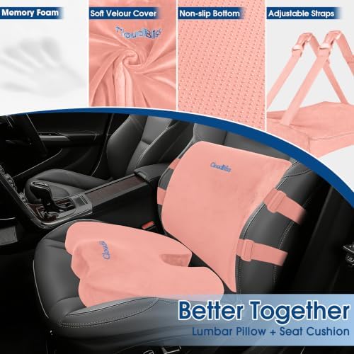 CloudBliss Ergonomic Seat Cushion & Lumbar Support Pillow Set, Pink, Large
